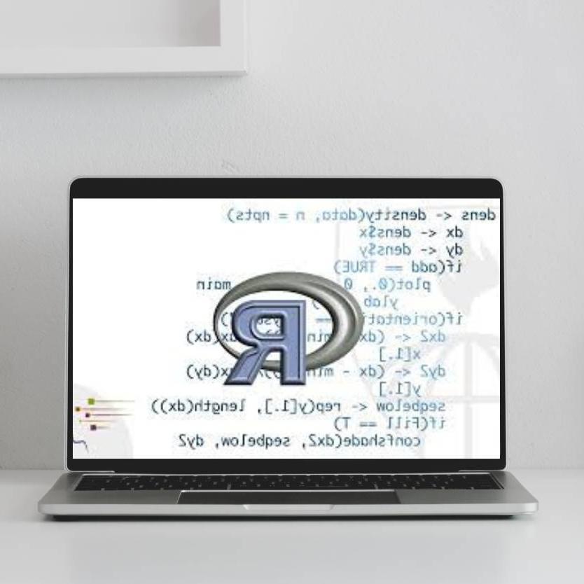 一台笔记本电脑，屏幕上写着R和方程式